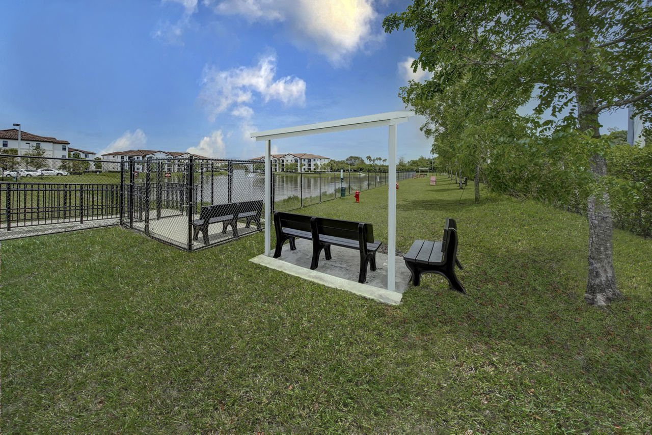 Solle Davie Apartments photo 5