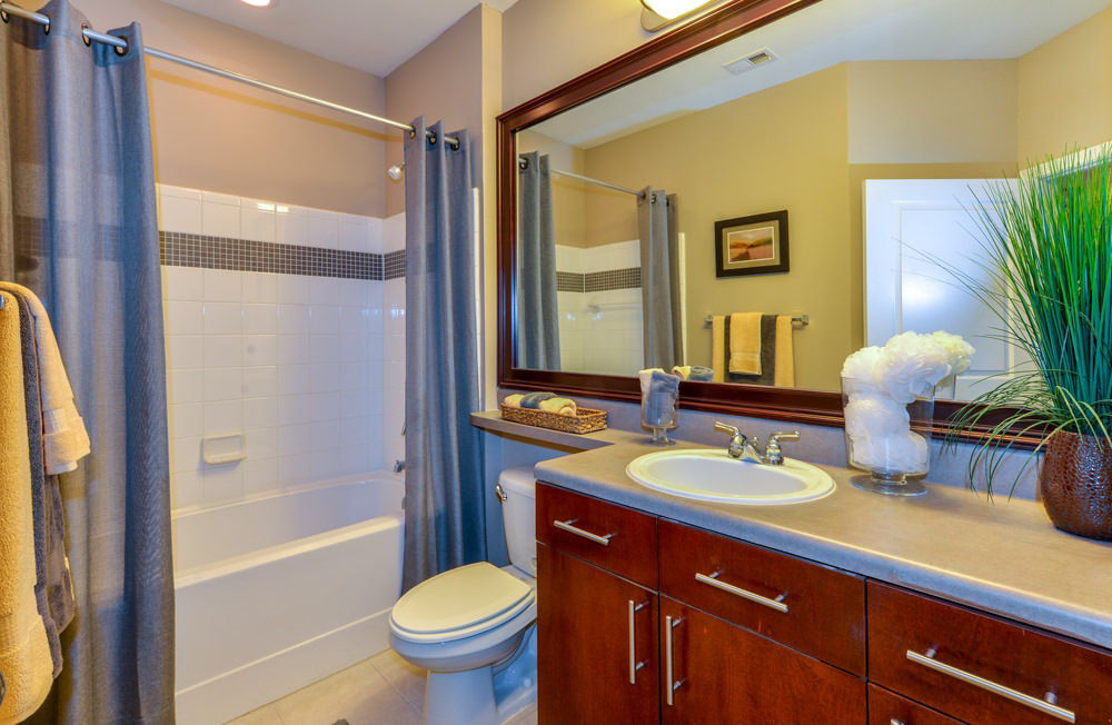 Avana City North Apartments photo 4