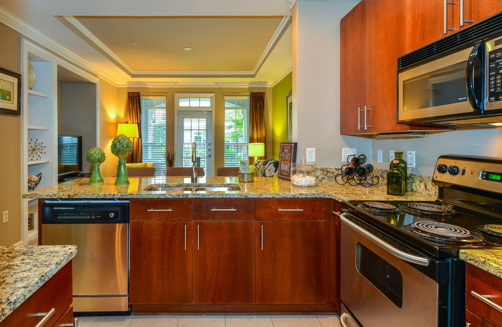 Avana City North Apartments photo 5