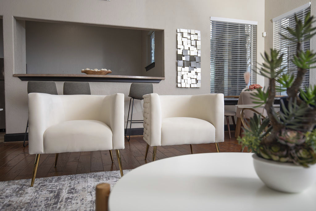 Mandalay at Shadow Lake Apartments photo 4