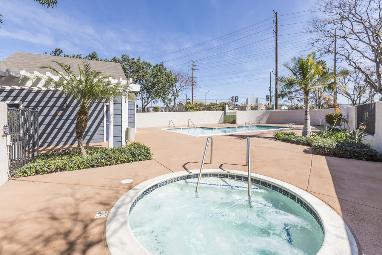 Avana Springs photo 4