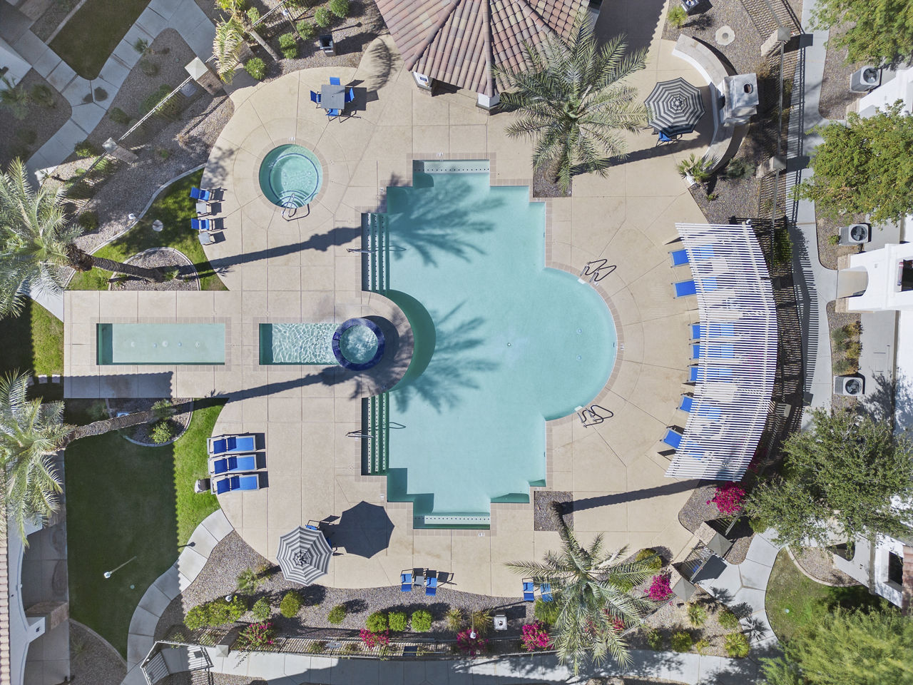 Bella Mirage photo 5