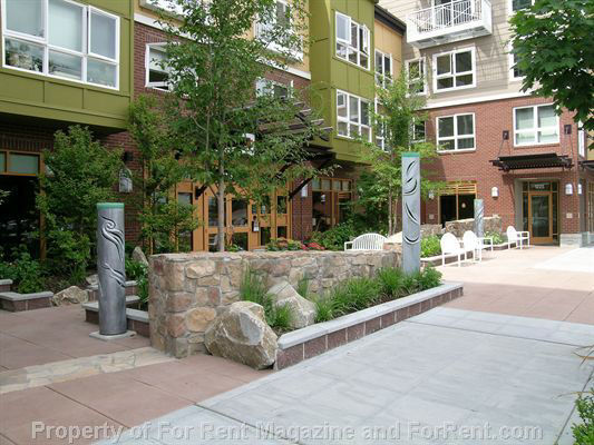 Dexter Lake Union photo 2