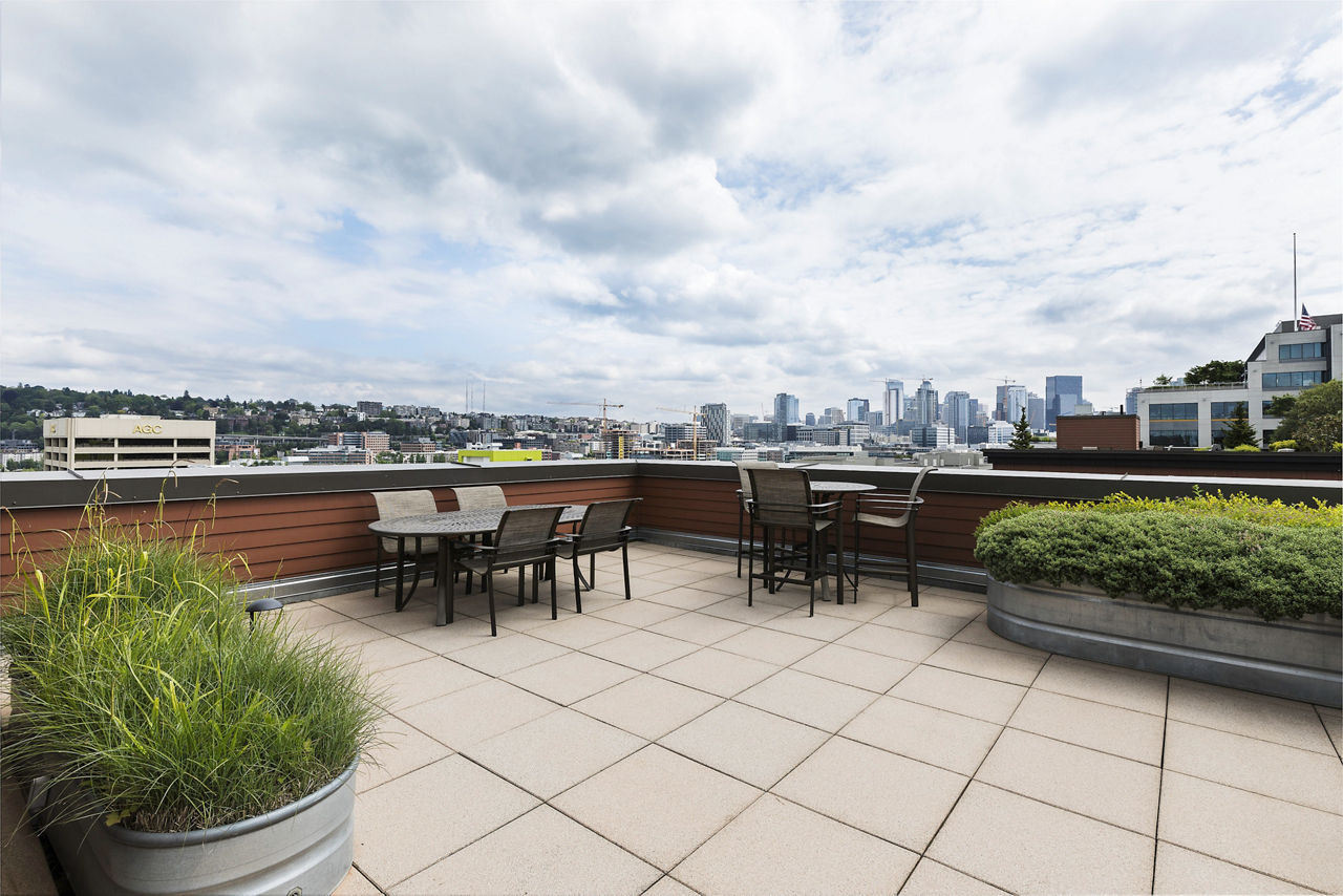 Dexter Lake Union photo 5