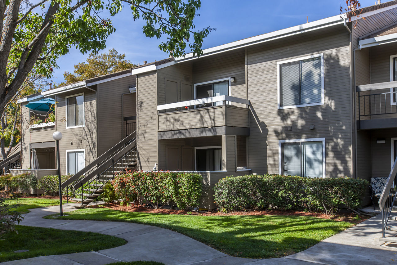 Monte Vista Apartments photo 4