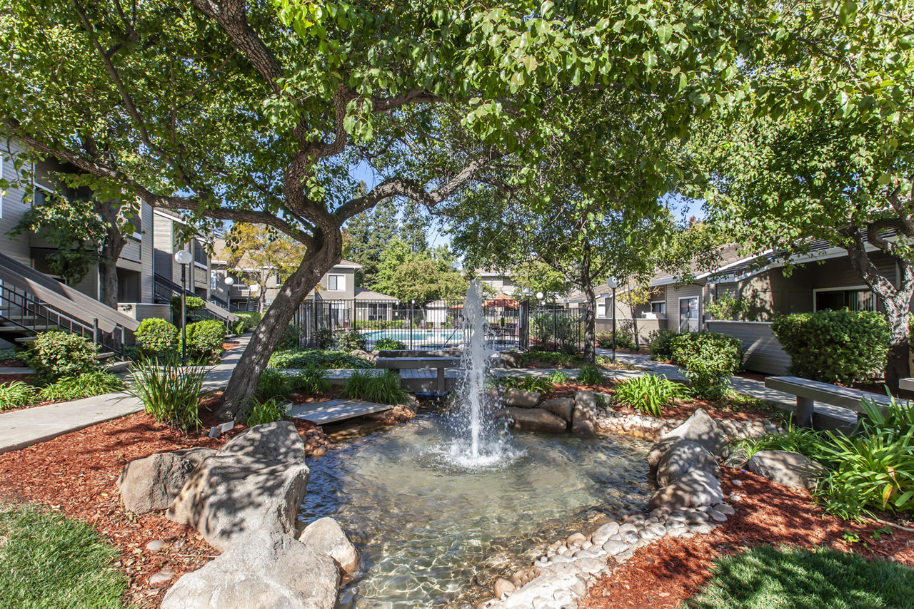 Monte Vista Apartments photo 5