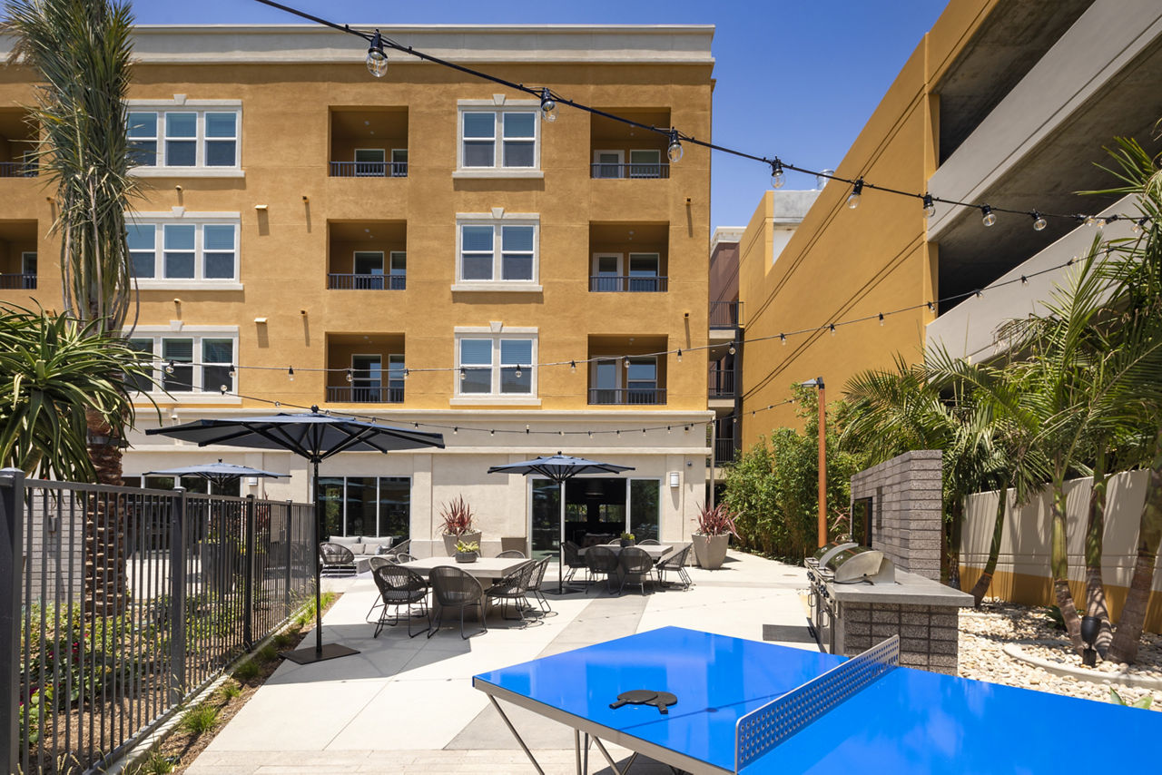 Lex CTR City photo 5