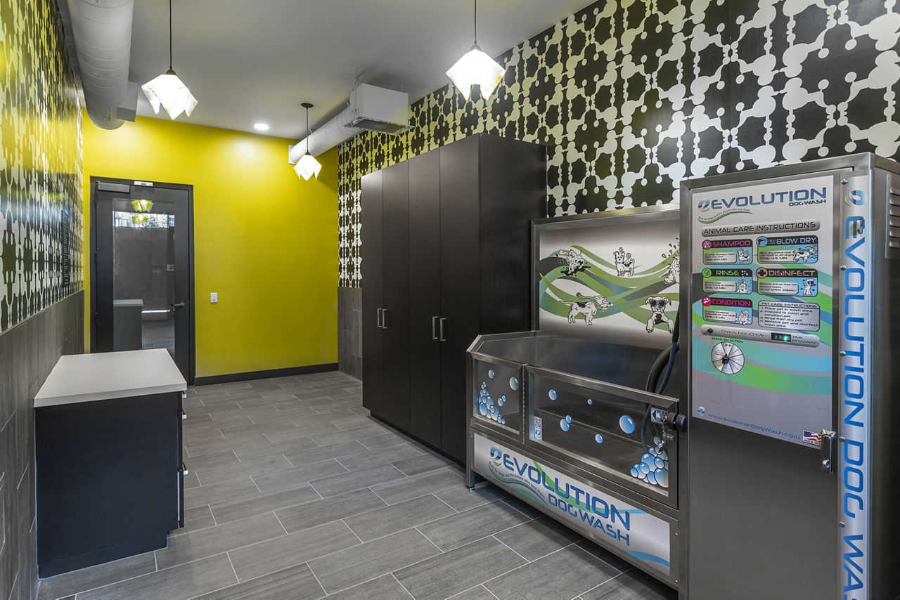 Rise Apartments photo 4