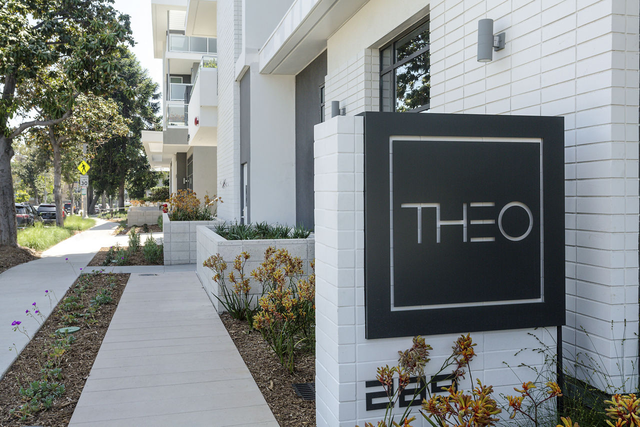 THEO photo 2