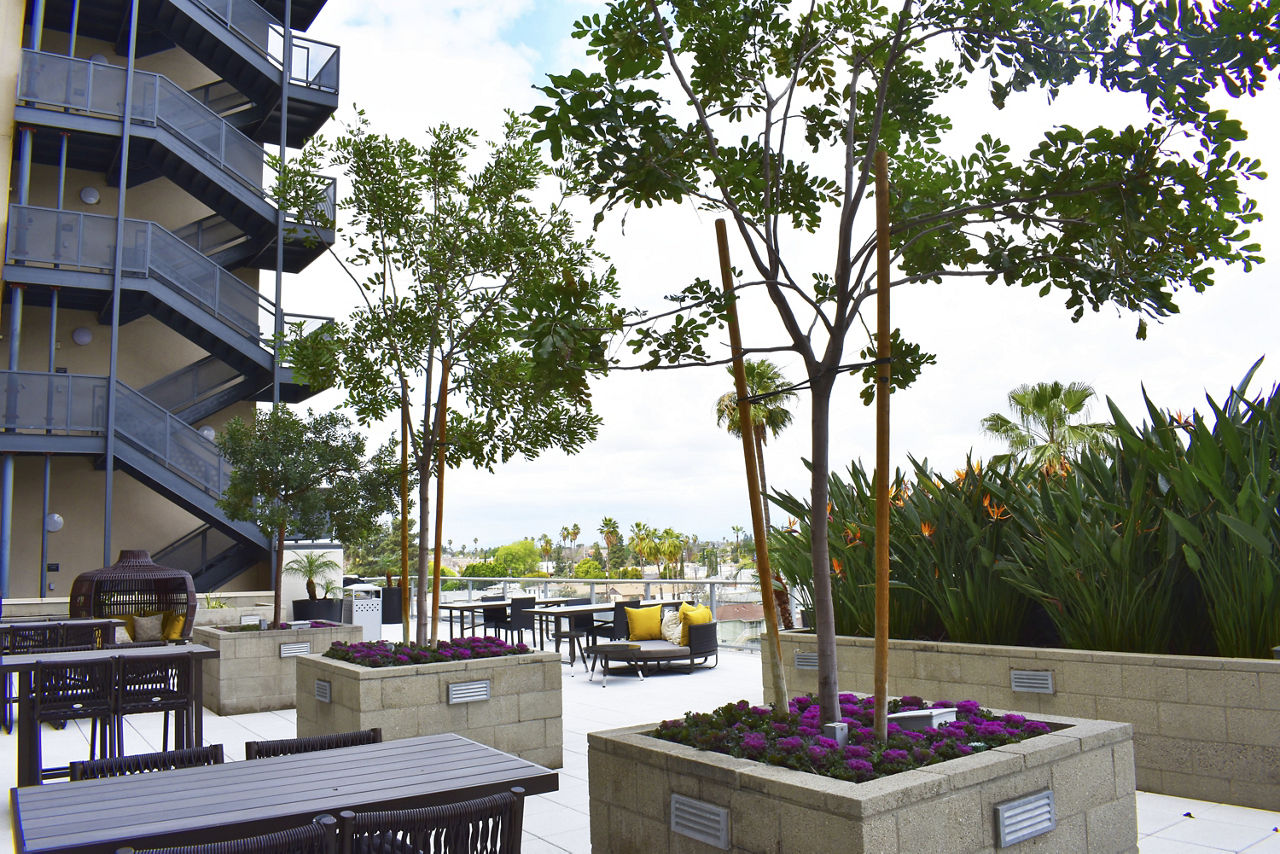 NoHo 14 photo 3