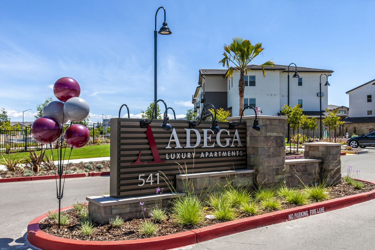 Adega photo 4