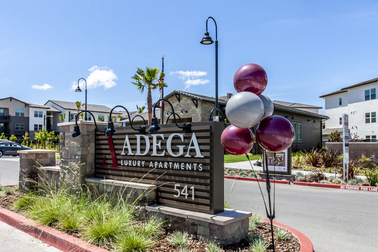 Adega photo 5
