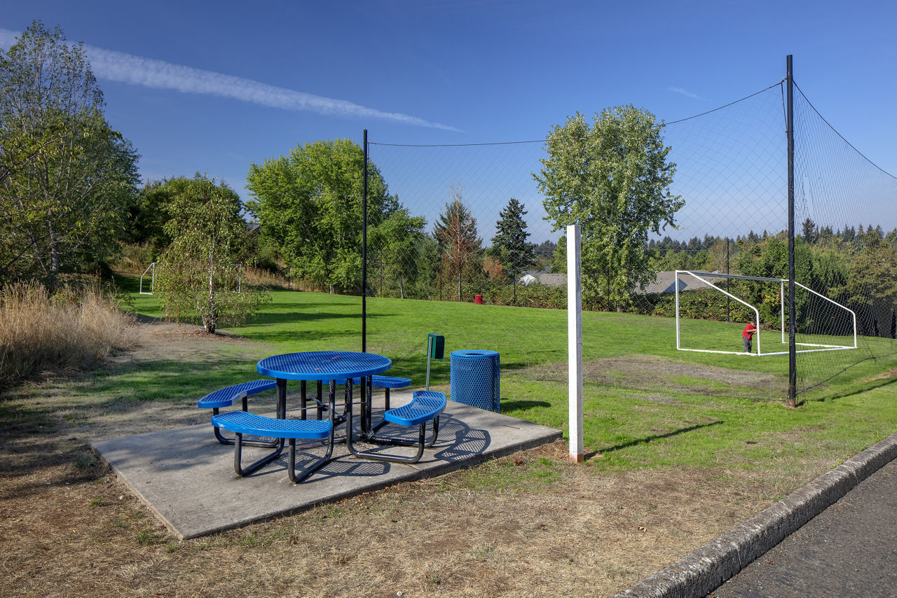Avana Evergreen photo 3