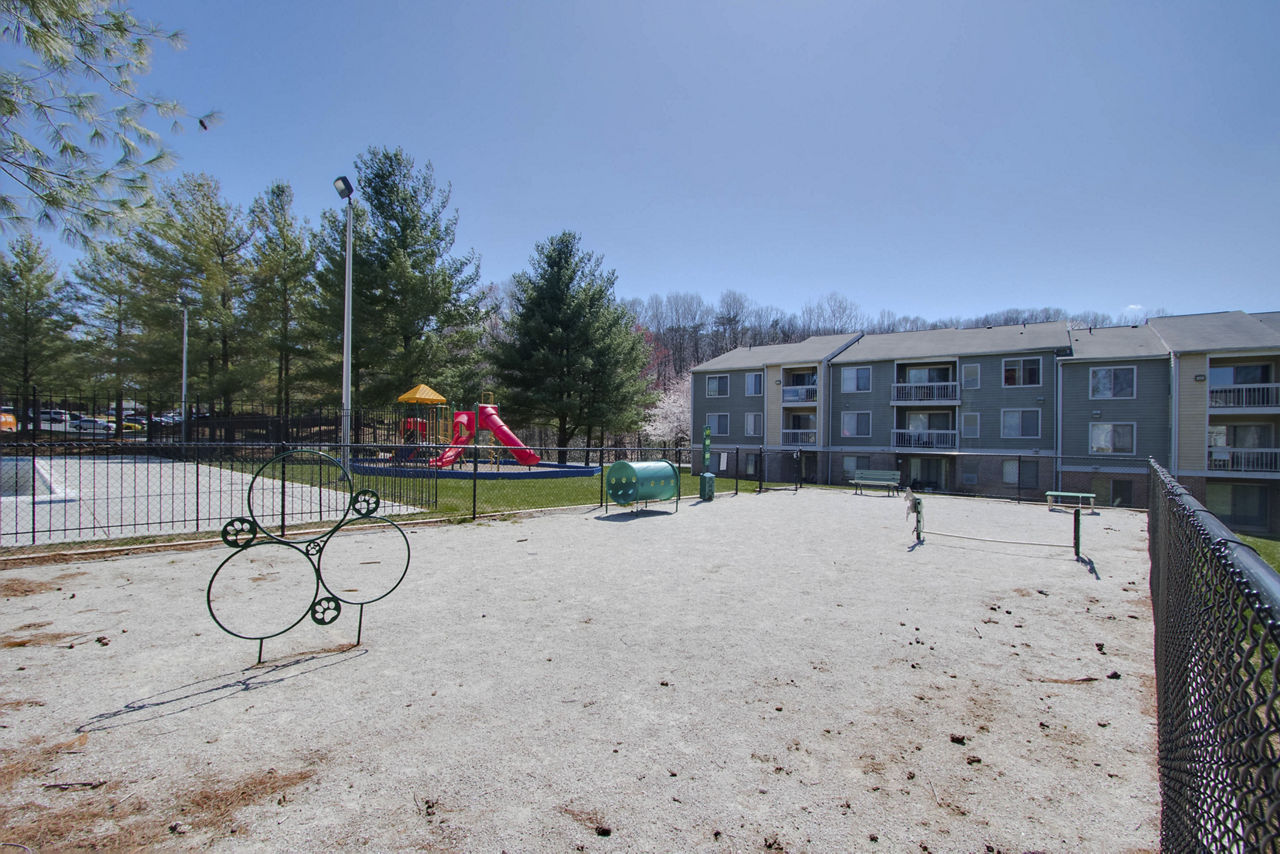 Avana Stoney Ridge photo 5