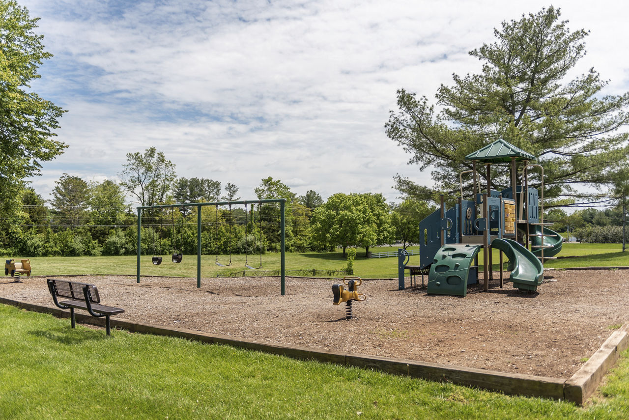 Avana Fieldstone photo 4