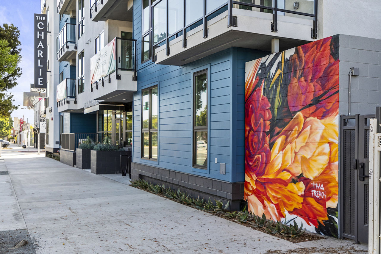 The Charlie Mar Vista photo 5