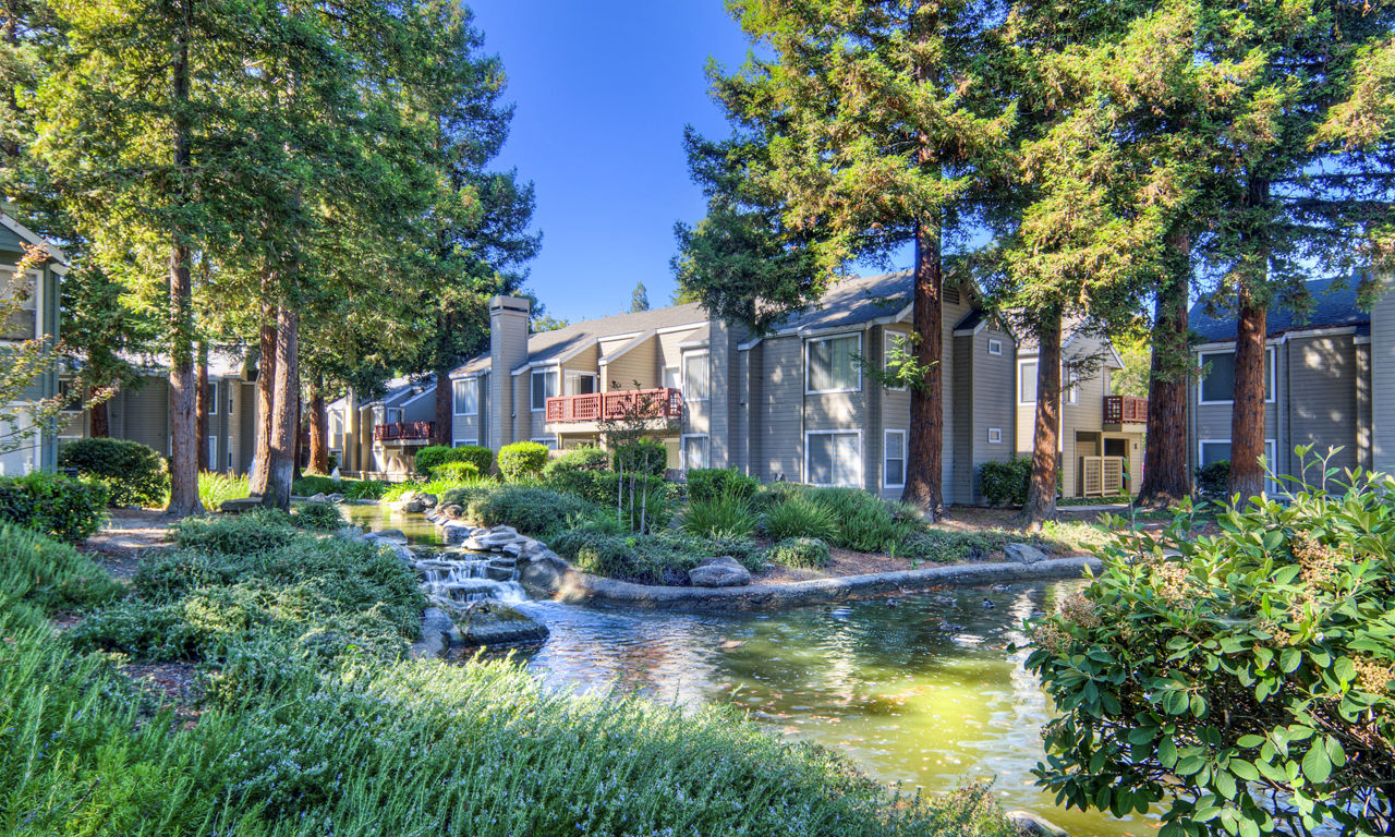 Wood Creek photo 3