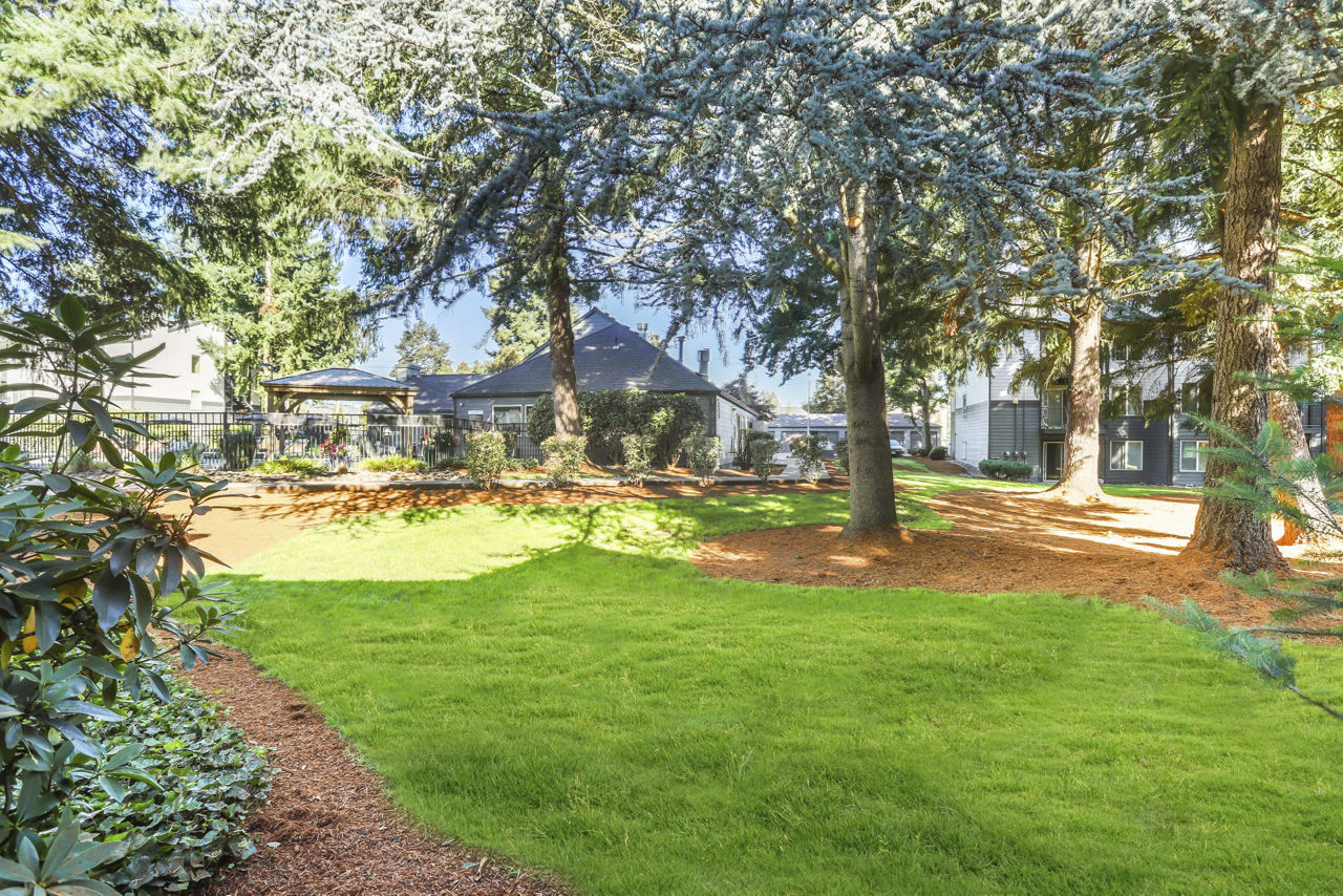 Silver Oak photo 4