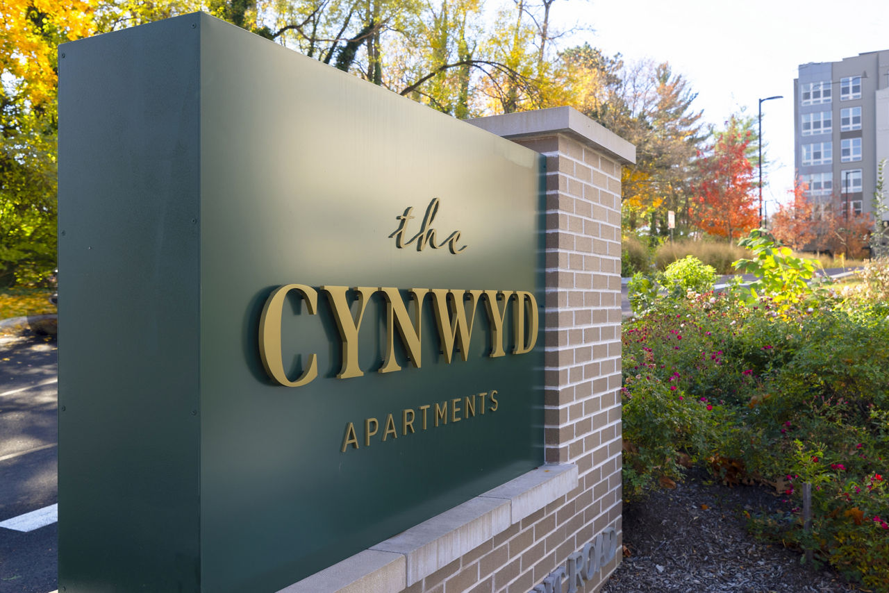 The Cynwyd photo 3