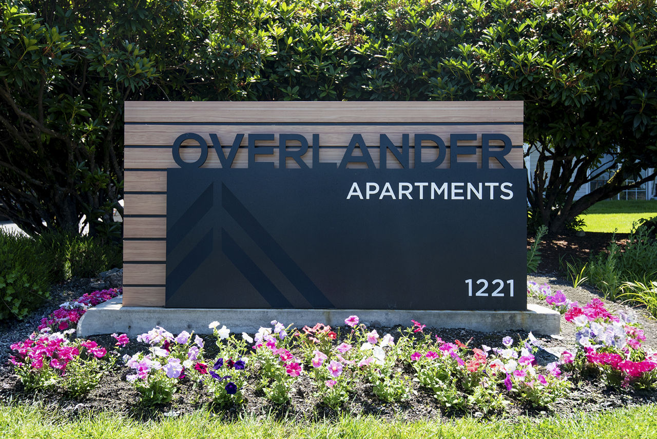 Overlander photo 4
