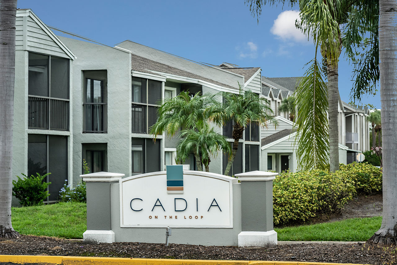 Cadia on the Loop photo 2
