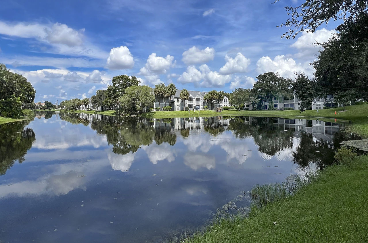 Avana Coral Springs photo 2