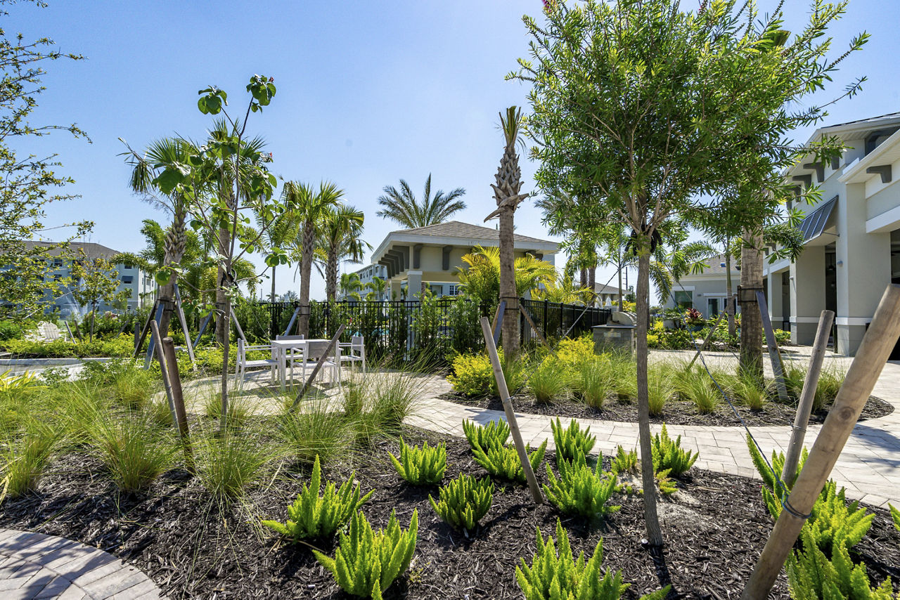 The Palms at Cape Coral photo 3
