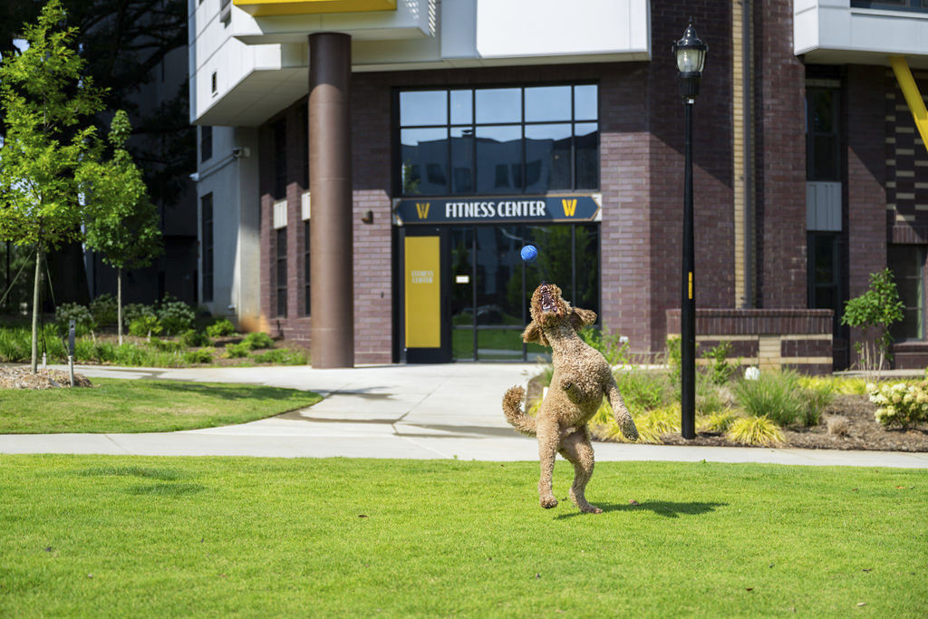 The Winston photo 3
