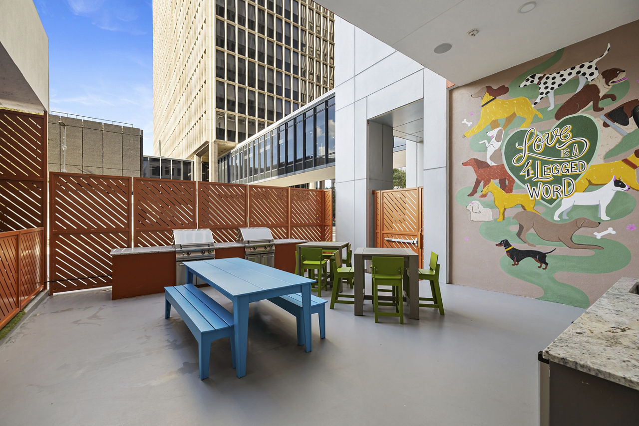 Elev8 Downtown photo 5