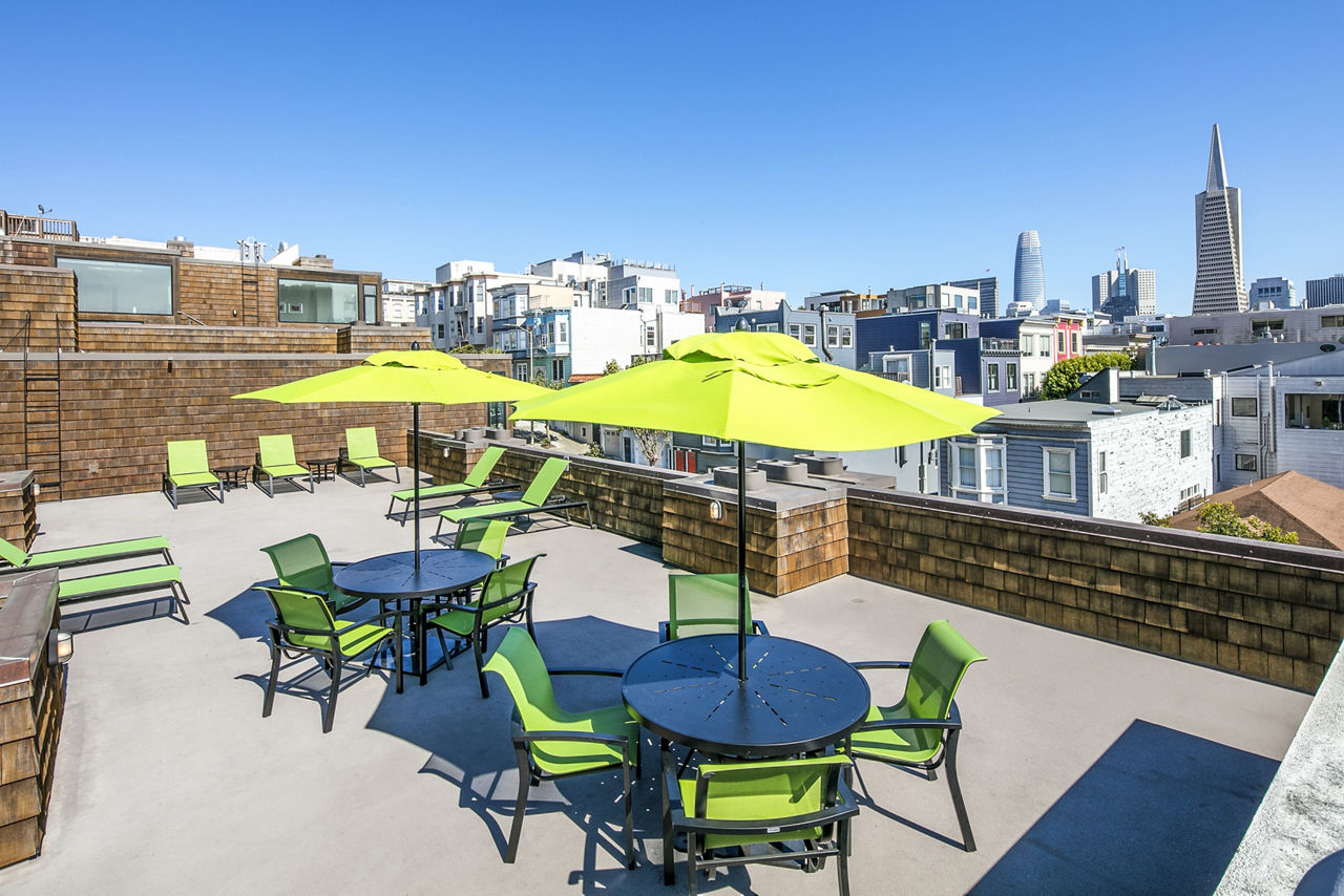 Telegraph Hill photo 4