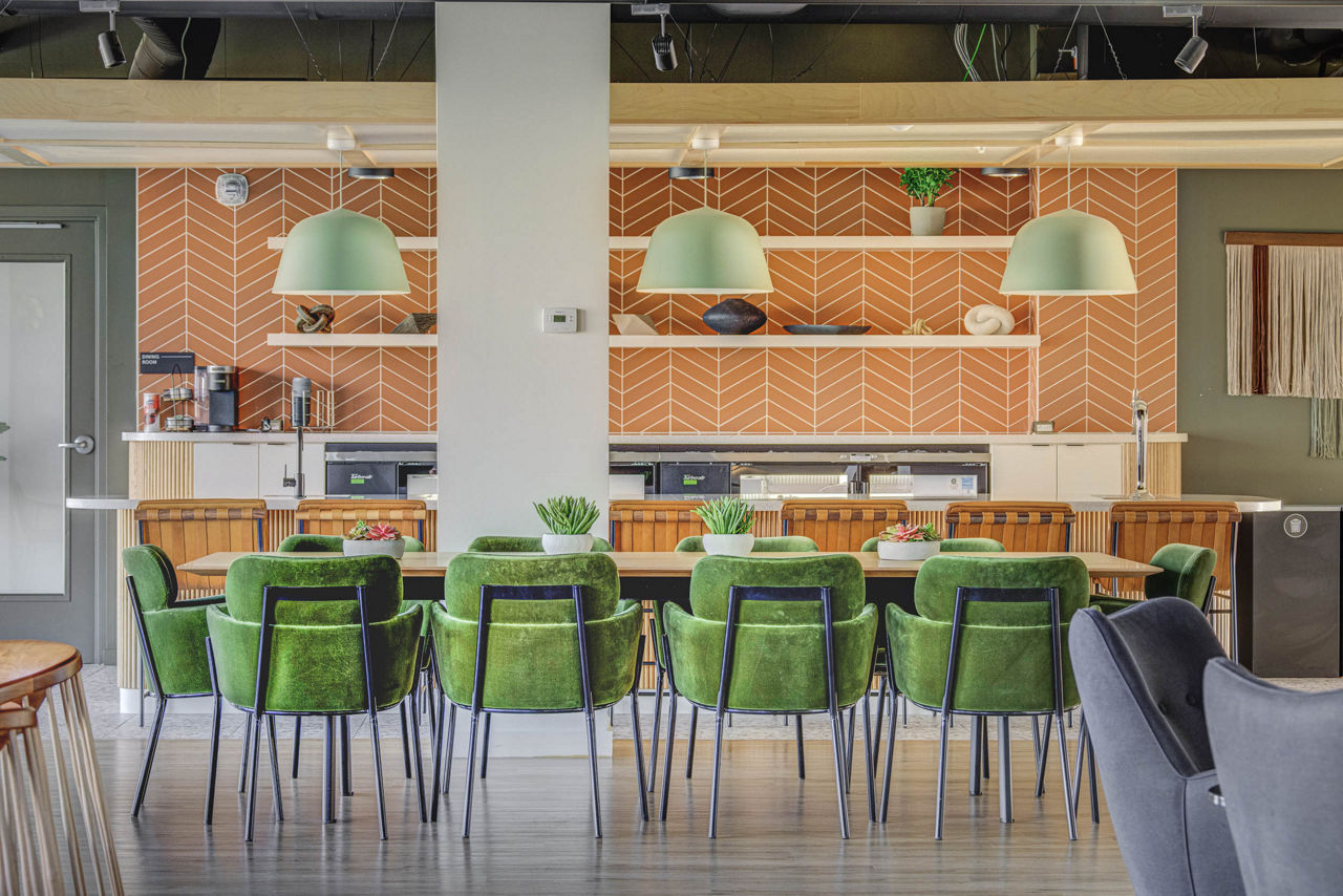 Lattice Apartments photo 3