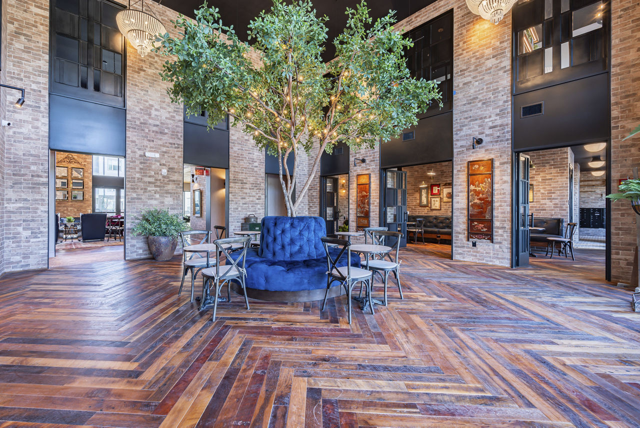 Vera Cedar Park photo 5