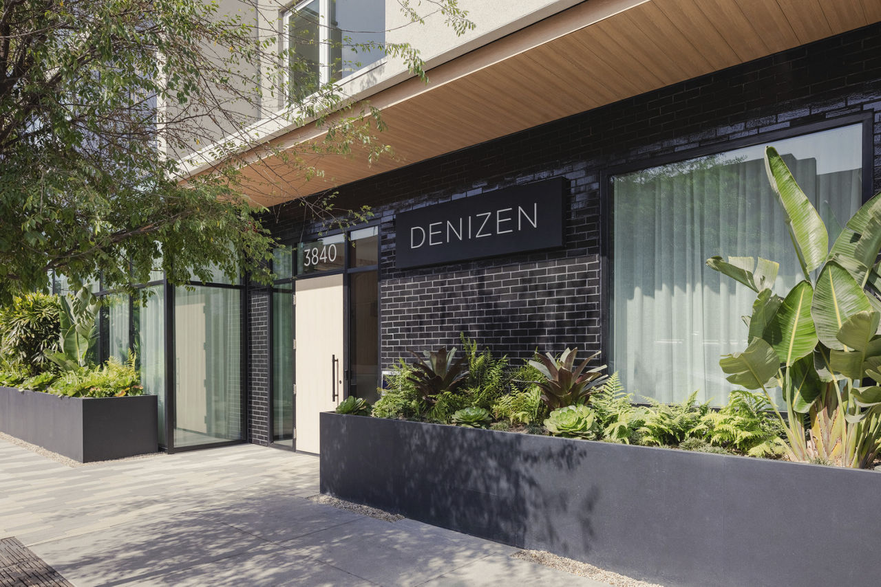 Denizen photo 4
