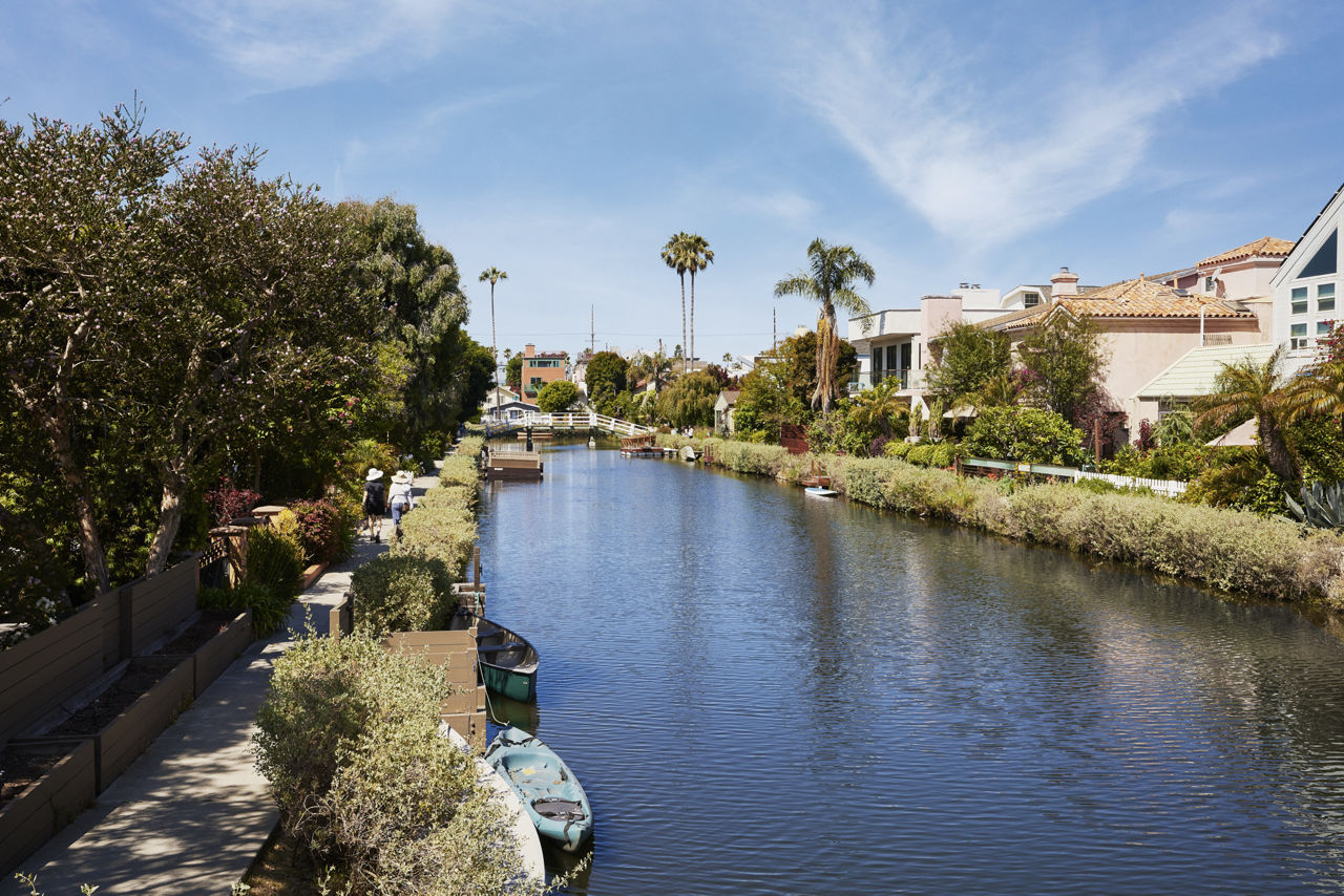 Dolphin Marina photo 3