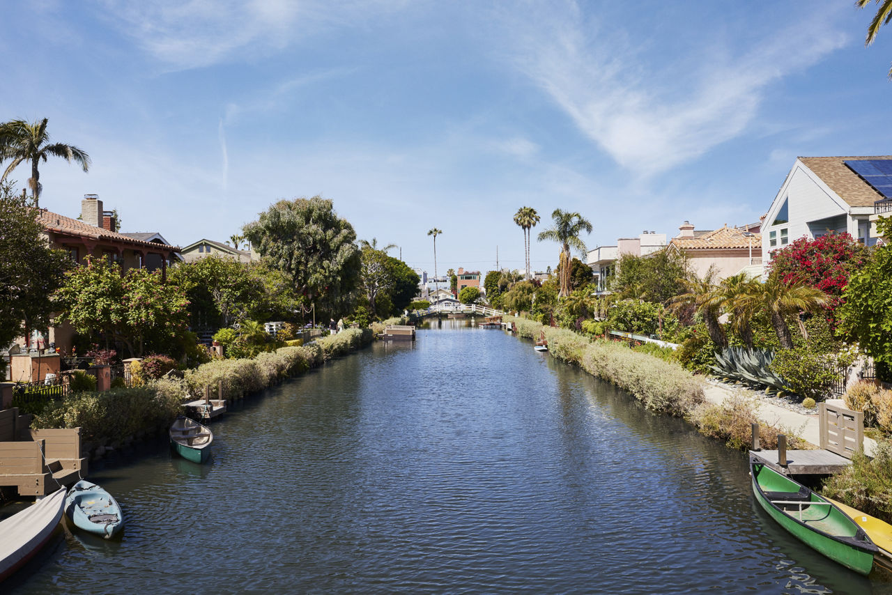 Dolphin Marina photo 4