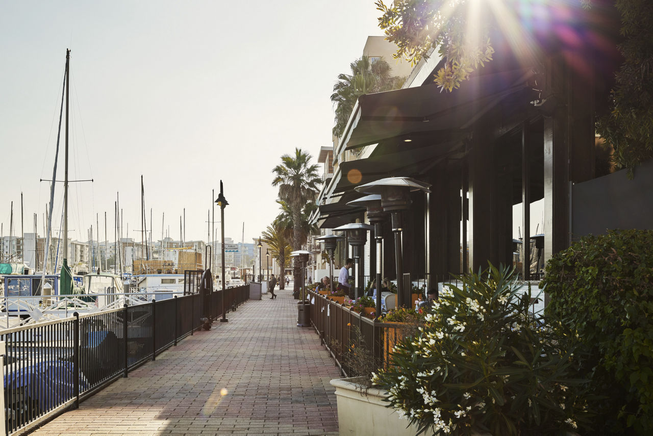 Dolphin Marina photo 5