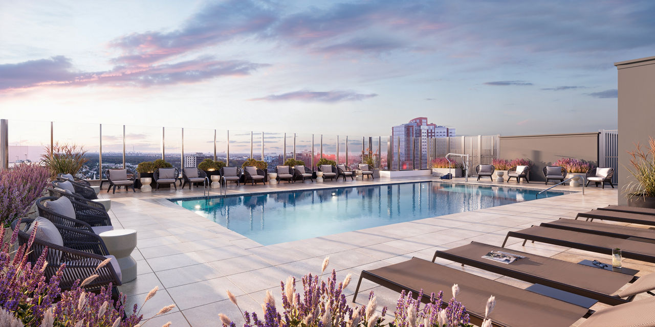 The Leaf photo 4
