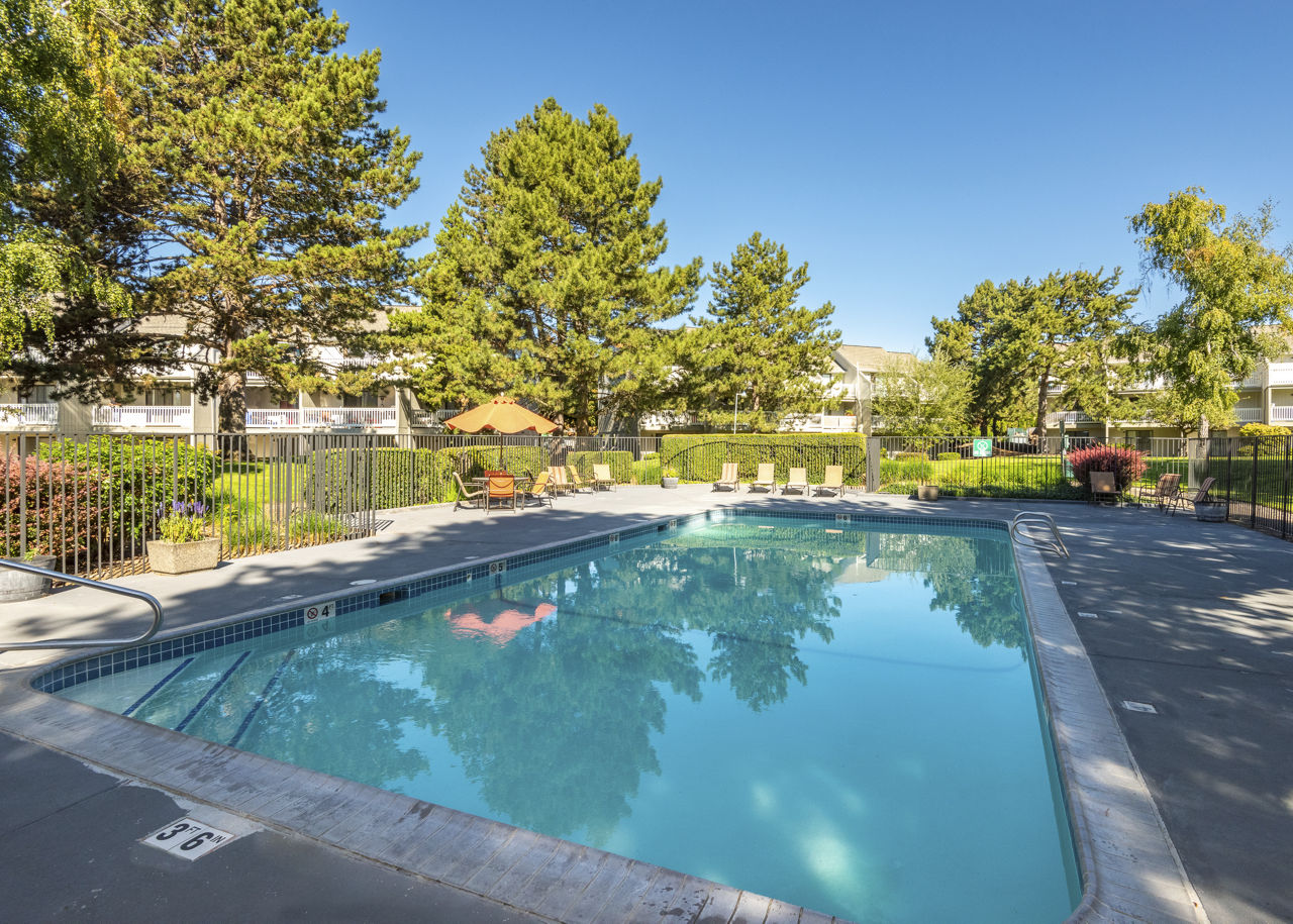 Aspenridge photo 4