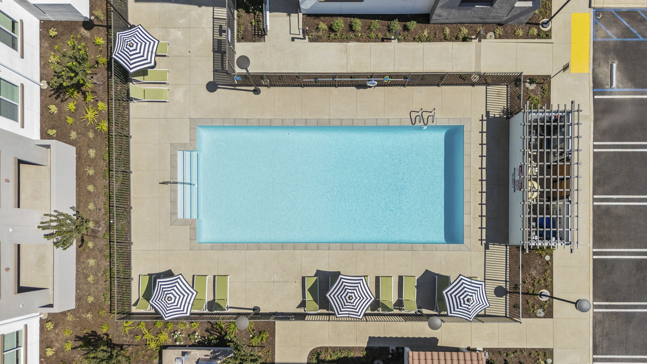 Alta Westwind photo 2