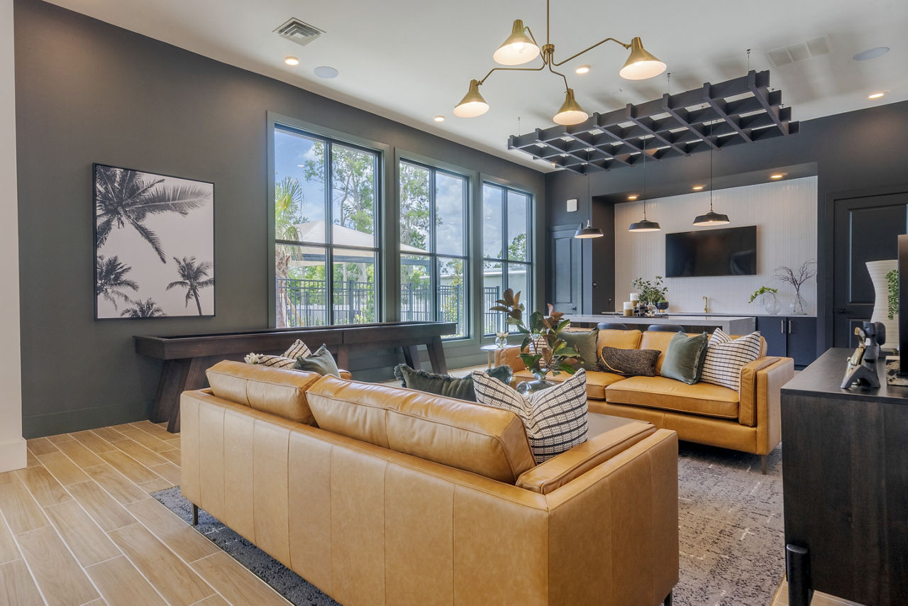 Altera Jacaranda photo 2