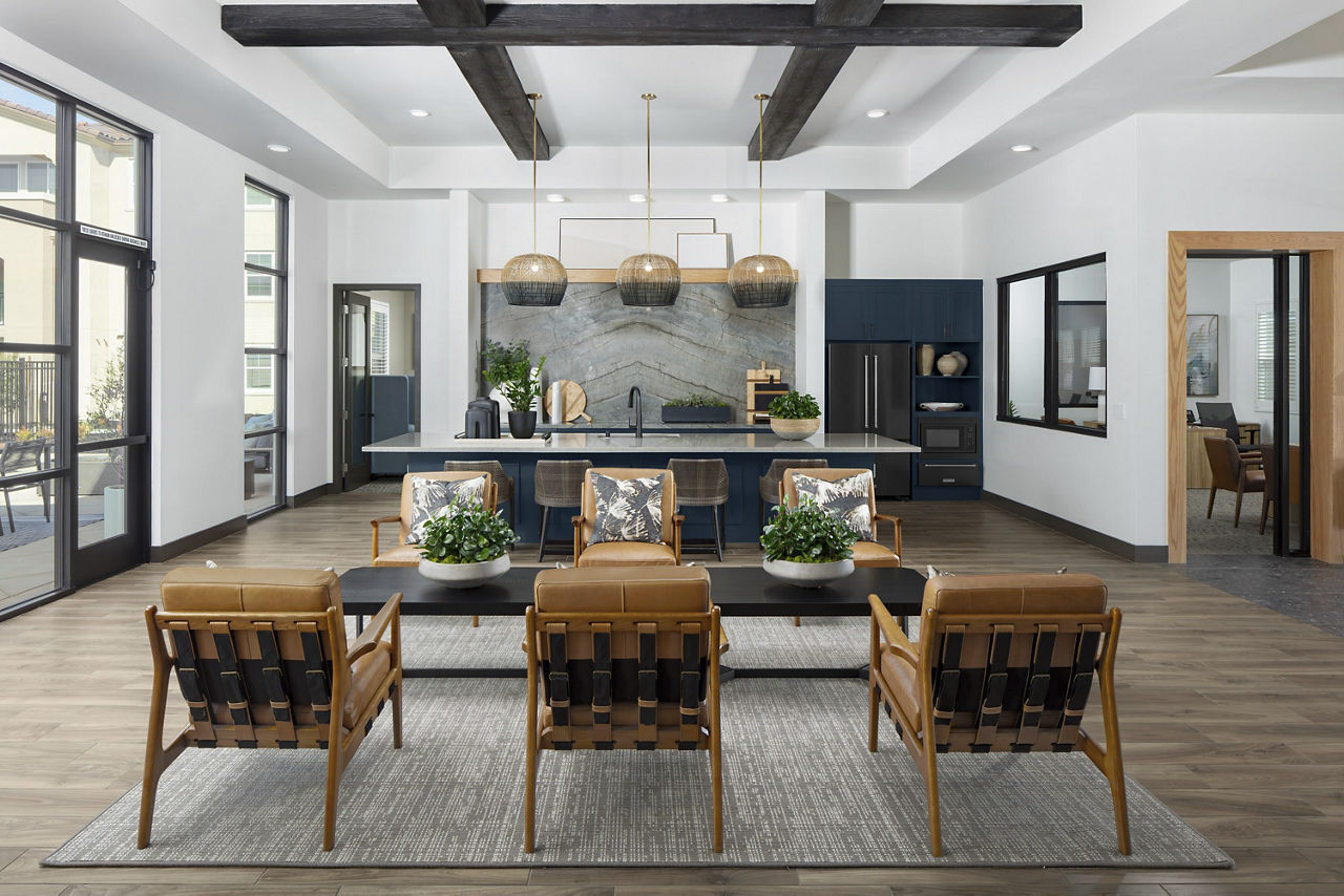 Aviara at Mountain House photo 4
