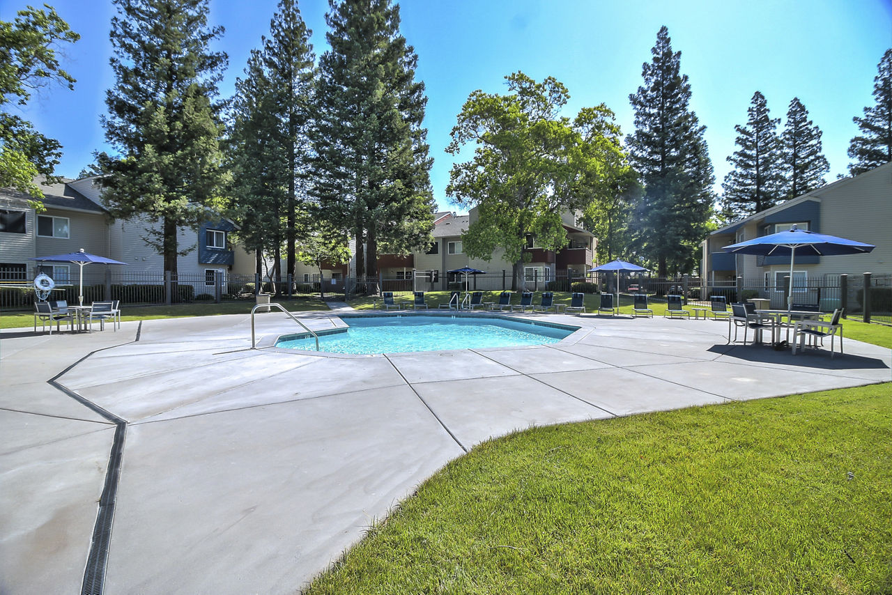 Redwood Square photo 3