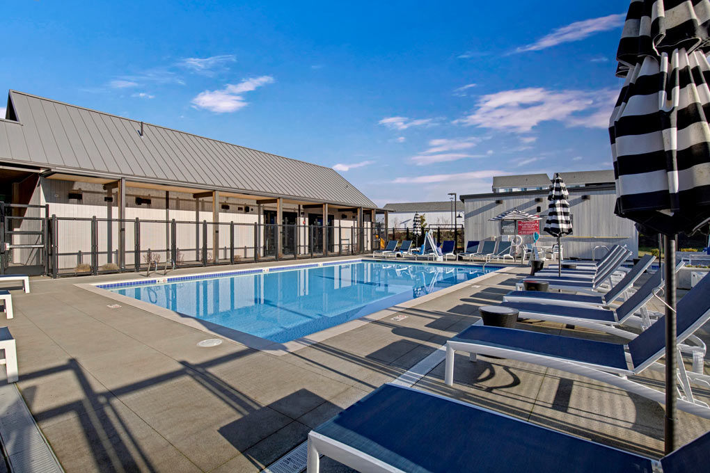 Martingale Apartments photo 3