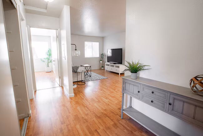 Walnut Apartments photo 4