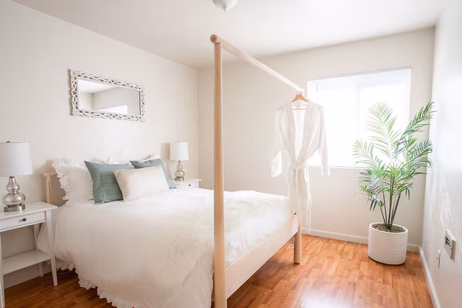 Walnut Apartments photo 5