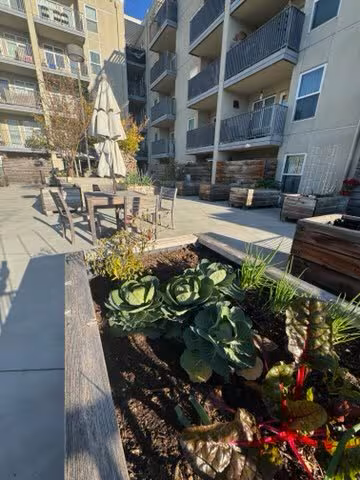 Japantown Apartments photo 2