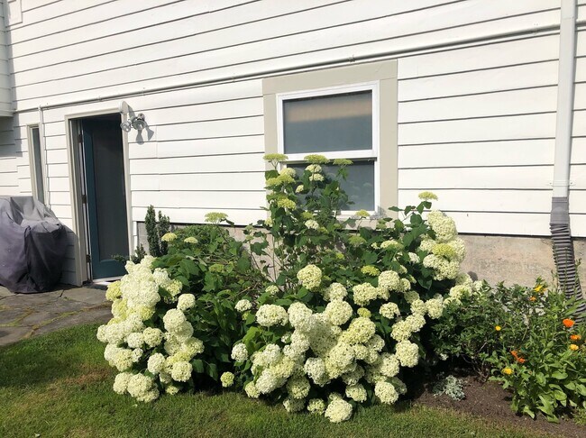 2556 Warren Ave N Seattle, WA 98109 photo 3
