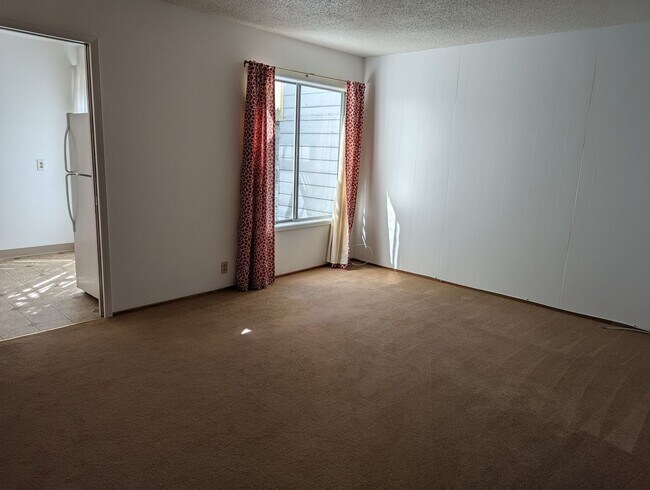 1245 20th Ave San Francisco, CA 94122 photo 4