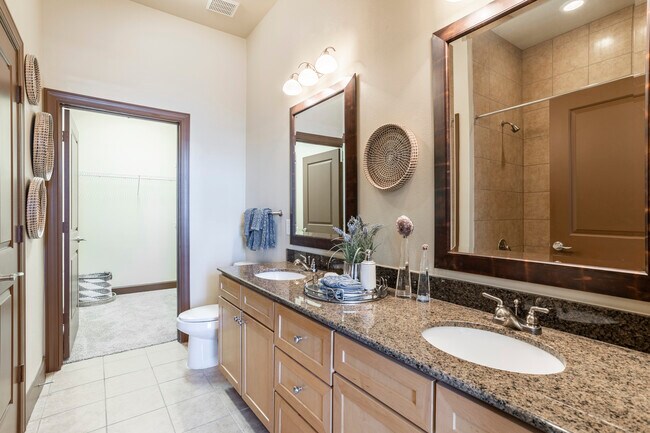 Gables 6464 San Felipe photo 5