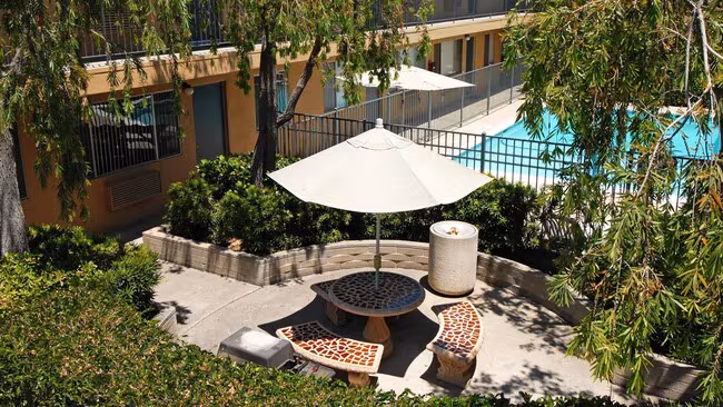 Palm Towers Apartments photo 3